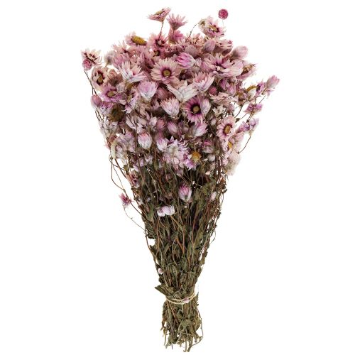 Floristik24 Kwiaty suszone słomiane biało różowe 20-35cm pęczek 40g