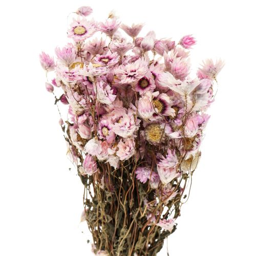 Floristik24 Kwiaty suszone słomiane biało różowe 20-35cm pęczek 40g