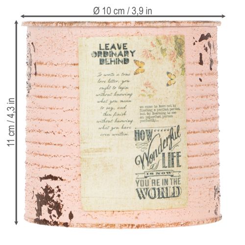 Produkt Doniczka dekoracyjna łosoś metalowa dekoracja letnia Ø11cm wys.10,5cm