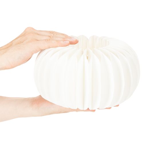 Obrączka papierowa w kształcie plastra miodu, dynia, okrągła, duża, do suszonych kwiatów i jesiennych dekoracji, 24 cm, 4 szt. | Floristik24.pl