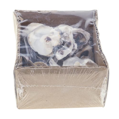 Floristik24 Muszle ostryg deco Muszelki dekoracja naturalna 2-6cm 250g