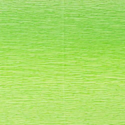 Produkt Papier florystyczny krepowy jasnozielony 50x250cm