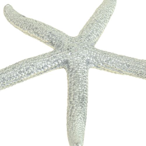 Floristik24 Rozgwiazda Srebrna Dekoracja Morska Rozgwiazda Dekoracja Letnia 7,5cm 10 szt