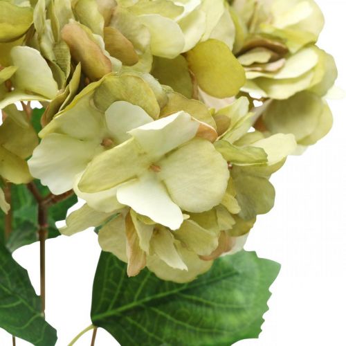 Floristik24 Bukiet hortensji sztuczny zielony, brązowy 5 kwiatów 48cm