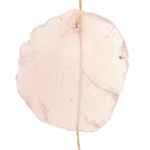 Floristik24 Girlanda muszlowa Girlanda z masy perłowej muszli Capiz różowa L108cm