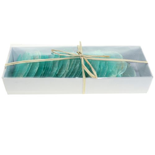 Floristik24 Muszle capiz, krążki capiz, krążki masy perłowej turkus 6,5–9,5 cm 650 g