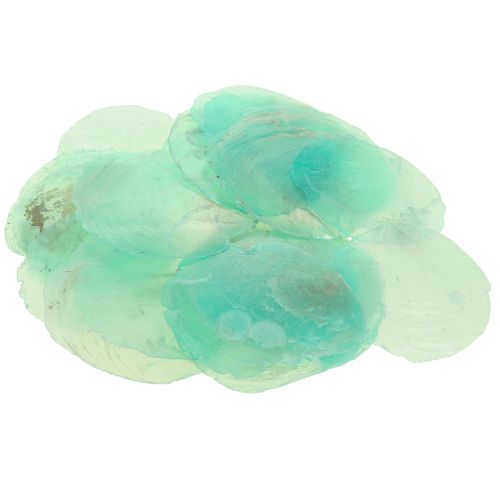 Muszle capiz, krążki capiz, krążki masy perłowej turkus 6,5–9,5 cm 650 g
