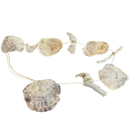 Floristik24 Capiz Garland Girlanda z masy perłowej Shell Driftwood L106cm