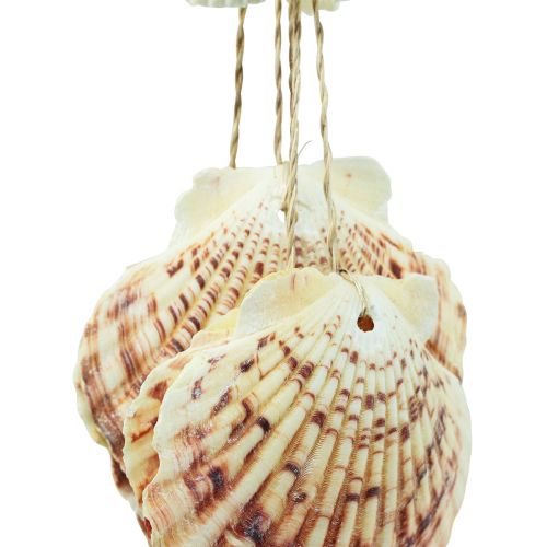 Produkt Morska dekoracja wisząca Muszle Morski dzwonek wietrzny 74cm