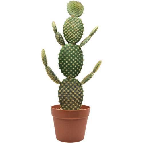 Floristik24 Dekoracyjny kaktus sztuczna roślina doniczkowa opuncja 64cm