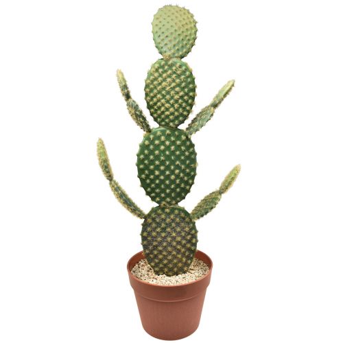 Floristik24 Dekoracyjny kaktus sztuczna roślina doniczkowa opuncja 64cm