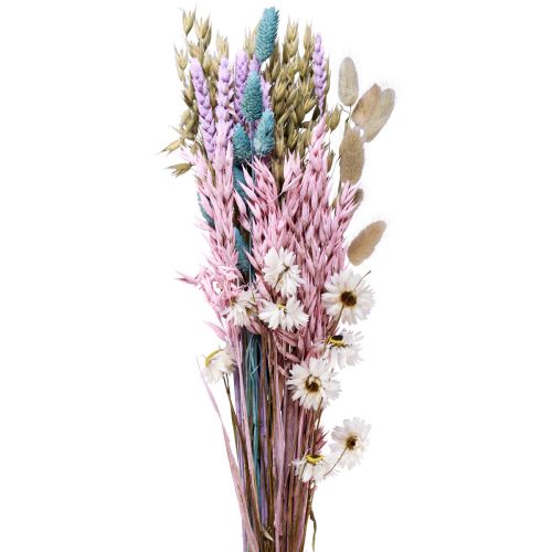 Floristik24 Bukiet suszonych kwiatów słomianych kwiatów Phalaris ziarno 58cm