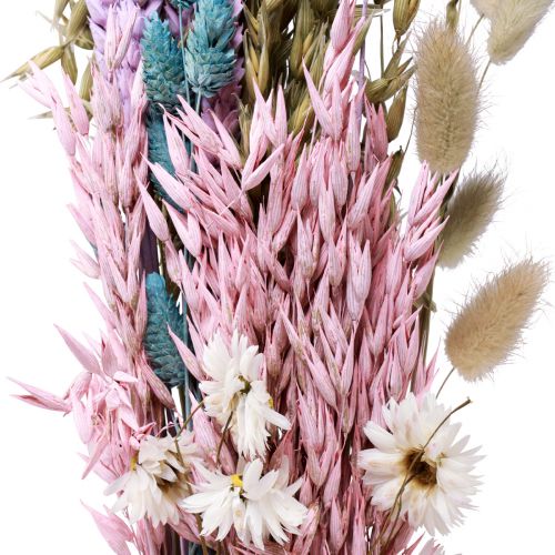 Floristik24 Bukiet suszonych kwiatów słomianych kwiatów Phalaris ziarno 58cm