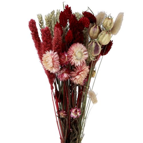 Bukiet suszonych kwiatów słomianych kwiatów Phalaris czerwony 30cm