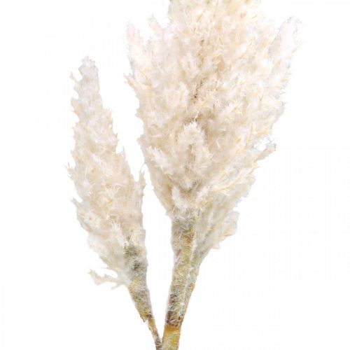Produkt Trawa pampasowa biała kremowa dekoracja ze sztucznej trawy suchej 82cm