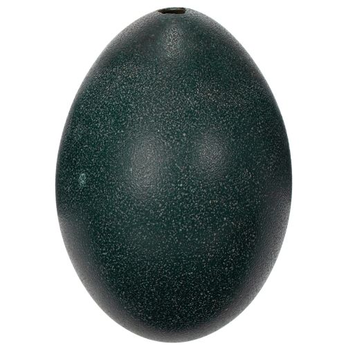 Produkt Dekoracje Emuei na świąteczny wystrój domu i stylowe akcenty na Wielkanoc