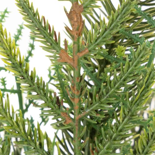 Sztuczna gałązka jodły do dekoracji świątecznych, 22 cm, 2 szt. | Floristik24.pl
