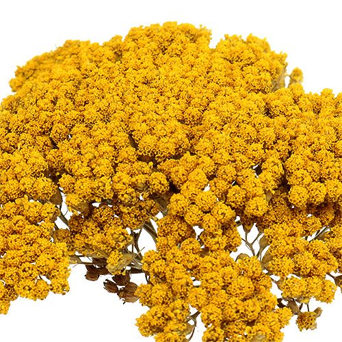 Produkt Achillea 1kg naturalna