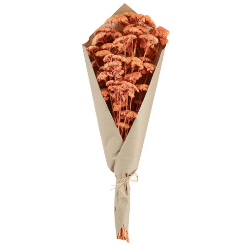 Produkt Krwawnik pospolity Achillea suszone kwiaty łąkowe łosoś 40-50cm 80g