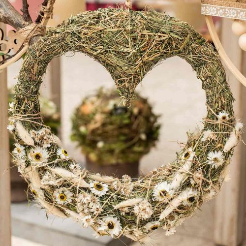 Floristik24 Acroclinium White, rośliny suche, kwiaty słomiane, florystyka sucha L20–40cm 25g