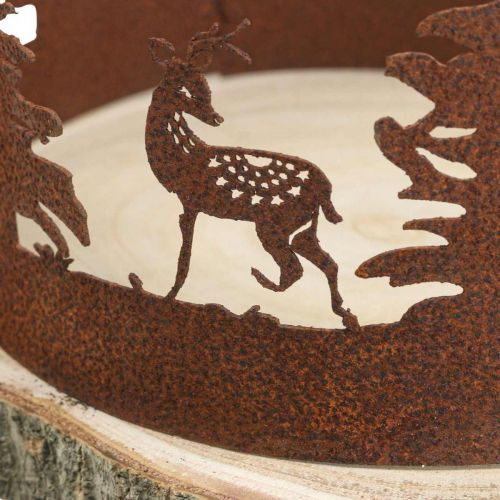 Floristik24 Deer Deco Leśna Patyna Deco Kora Drzewa Naturalna Ø25-27cm