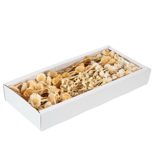 Produkt Seria Africa, wybielona, 60 sztuk