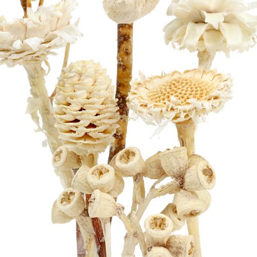 Produkt Seria Africa bielona 60 szt