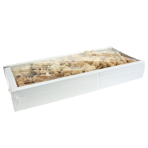 Produkt Seria Africa bielona 60 szt