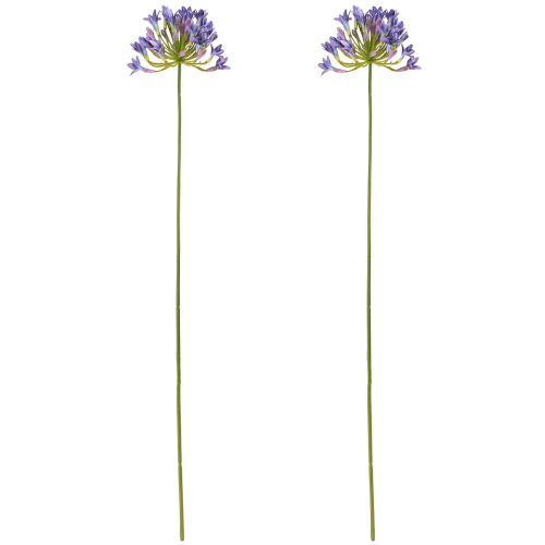 Produkt Agapant Lilia Afrykańska Sztuczne Kwiaty Fioletowe L75cm 2szt