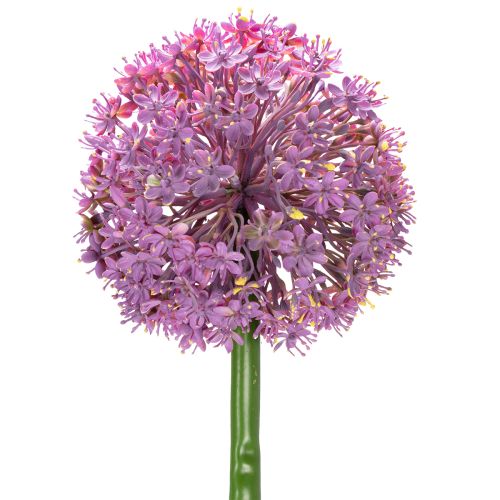 Floristik24 Sztuczny kwiat Allium, cebula ozdobna, elegancka dekoracja pokoju, 90 cm
