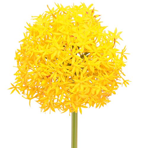 Floristik24 Allium Yellow Flower Sztuczna cebula 80cm Ø14,5cm 2szt