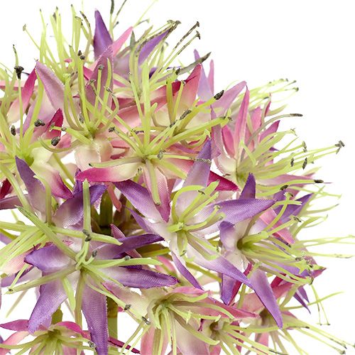 Produkt Allium jasnofioletowy L76cm