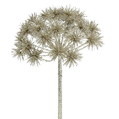 Floristik24 Allium z szampanem mikowym Ø18cm L70cm
