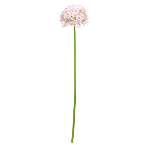 Produkt Allium z różowym kwiatem sztuczna cebula Ø18cm L90cm