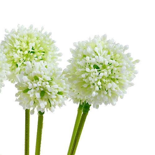 Produkt Allium 35cm White 6szt