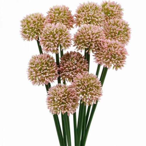 Floristik24 Sztuczny kwiat allium różowy 38 cm sztuczny ozdobny cebula jedwabny kwiat w pęczku 12 sztuk