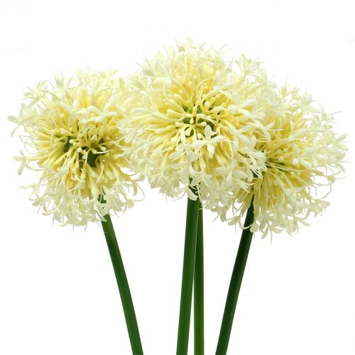 Floristik24 Allium ozdobne sztuczne białe 51cm 4szt.
