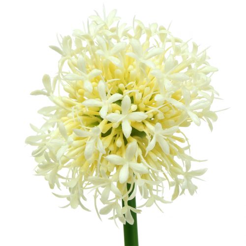 Floristik24 Allium ozdobne sztuczne białe 51cm 4szt.