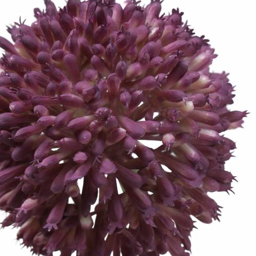 Floristik24 Sztuczny liliowy czosnek ozdobny Ø8cm 58cm