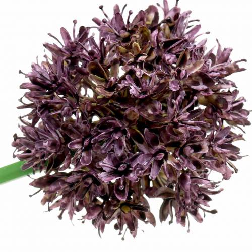 Produkt Allium ozdobne sztuczne fioletowe Ø7cm H58cm 4szt.