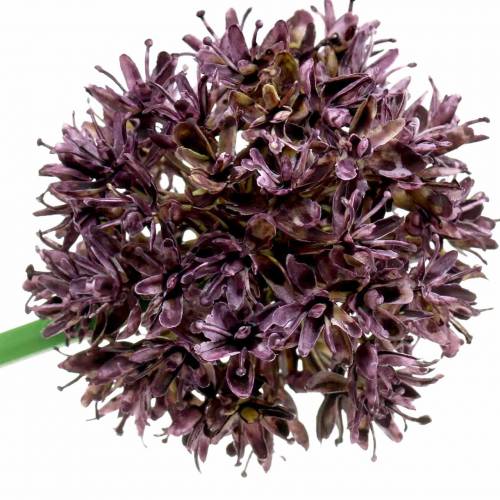Floristik24 Allium ozdobne sztuczne fioletowe Ø7cm H58cm 4szt.