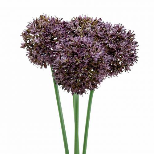 Floristik24 Allium ozdobne sztuczne fioletowe Ø7cm H58cm 4szt.