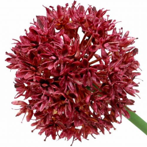 Floristik24 Allium ozdobne sztuczne Mauve Ø7cm H58cm 4szt.