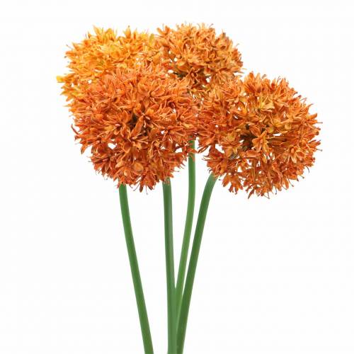 Floristik24 Allium ozdobne sztuczne pomarańczowe Ø7cm H58cm 4szt.