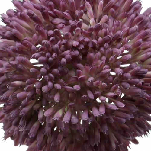 Floristik24 Sztuczny liliowy czosnek ozdobny Ø12cm 65cm