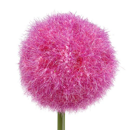 Floristik24 Allium 68cm Różowo-fioletowy