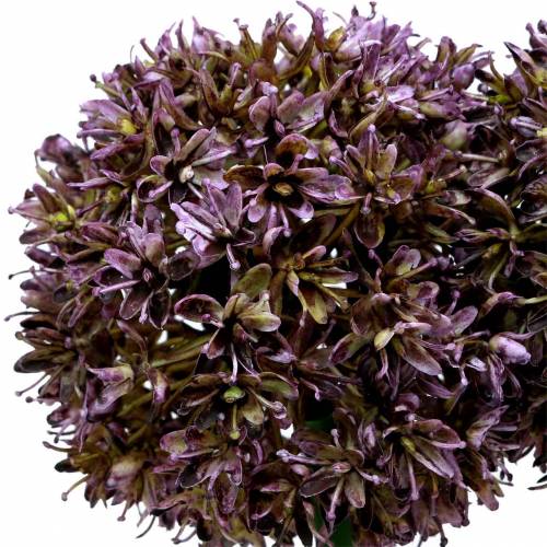 Floristik24 Allium ozdobne sztuczne fioletowe 70cm 3szt.