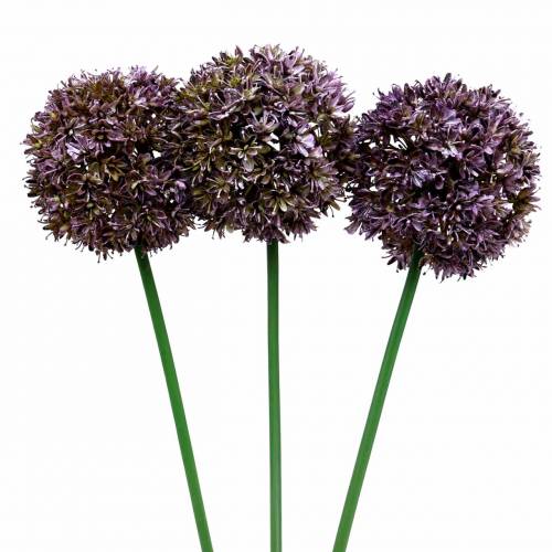 Floristik24 Allium ozdobne sztuczne fioletowe 70cm 3szt.