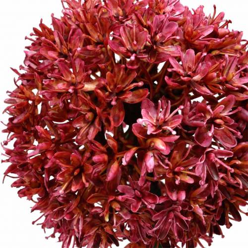 Floristik24 Allium ozdobne sztuczne Mauve Ø9cm H70cm 3szt.