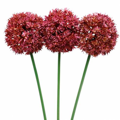 Floristik24 Allium ozdobne sztuczne Mauve Ø9cm H70cm 3szt.